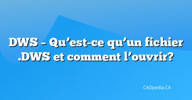 DWS – Qu’est-ce qu’un fichier .DWS et comment l’ouvrir?