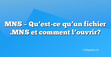 MNS – Qu’est-ce qu’un fichier .MNS et comment l’ouvrir?